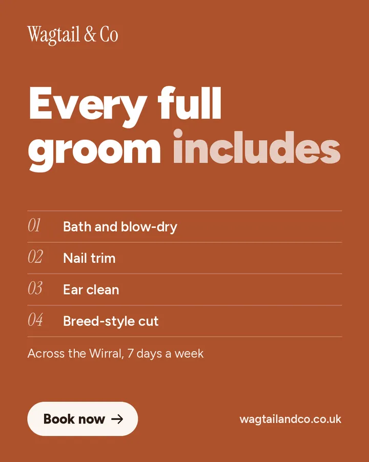 Sample checklist ad